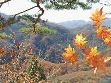 寺上村委会天气预报及影响深度解析